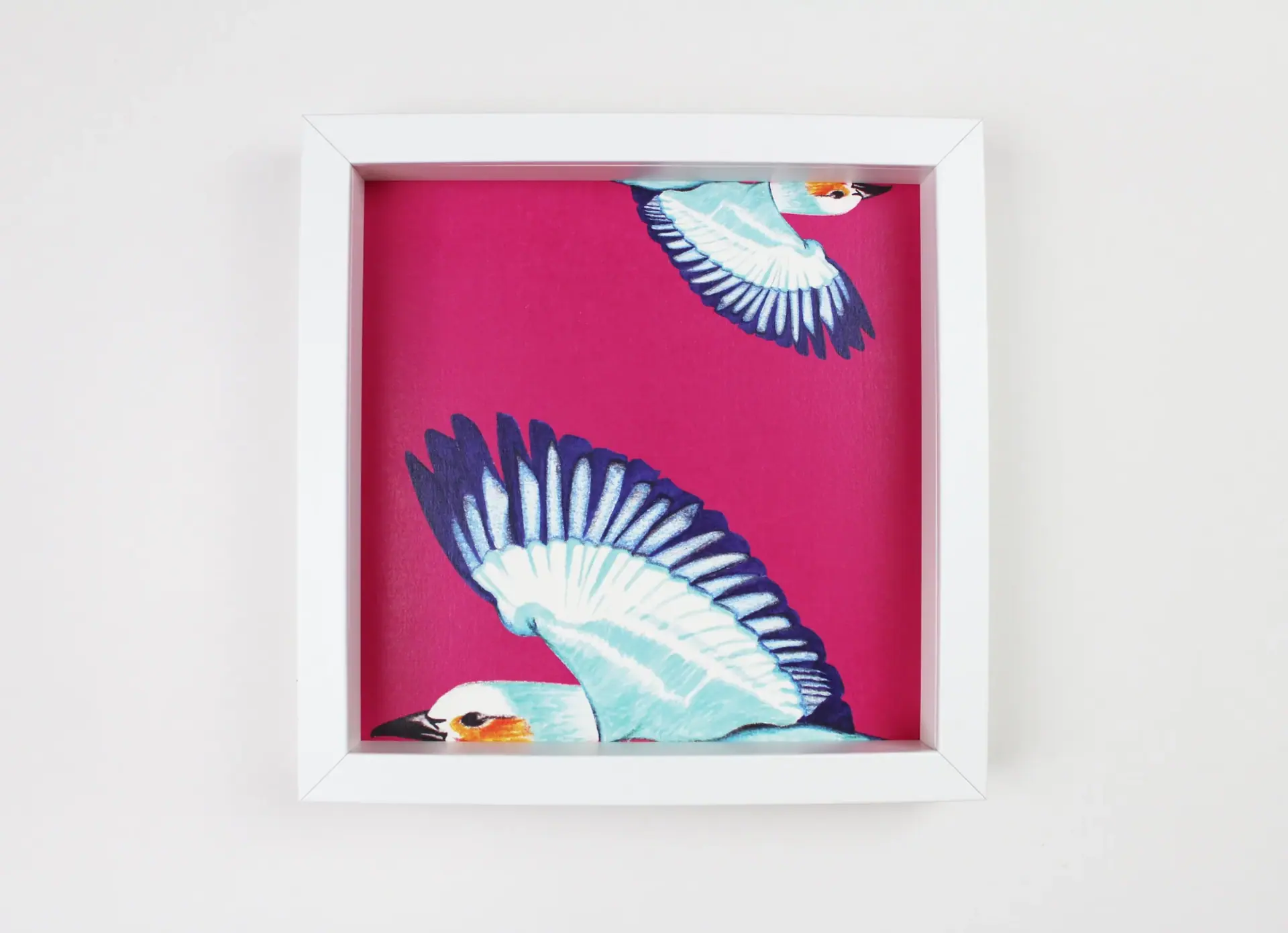Safari Bird square art print: a lilac-breasted roller in flight across cherry pink, in a white box frame